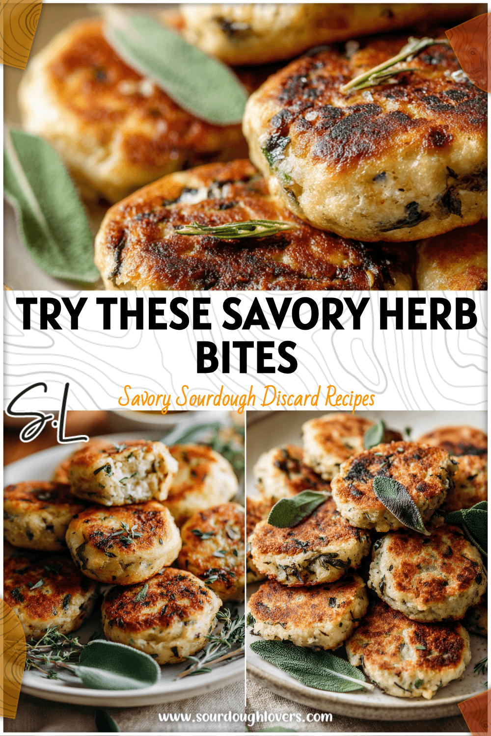 Golden sourdough savory herb pancake bites served with herbs on a white plate resembling savoury Welsh cakes. 26